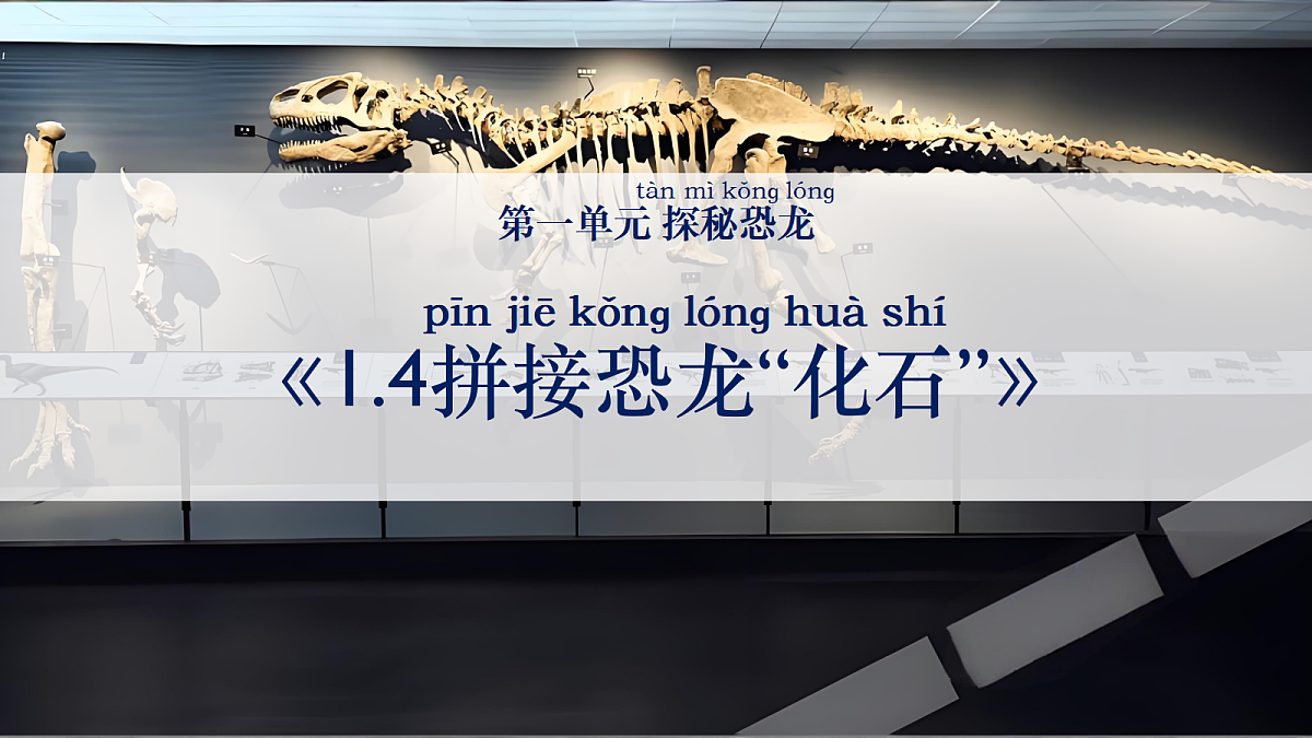 18602616第1页