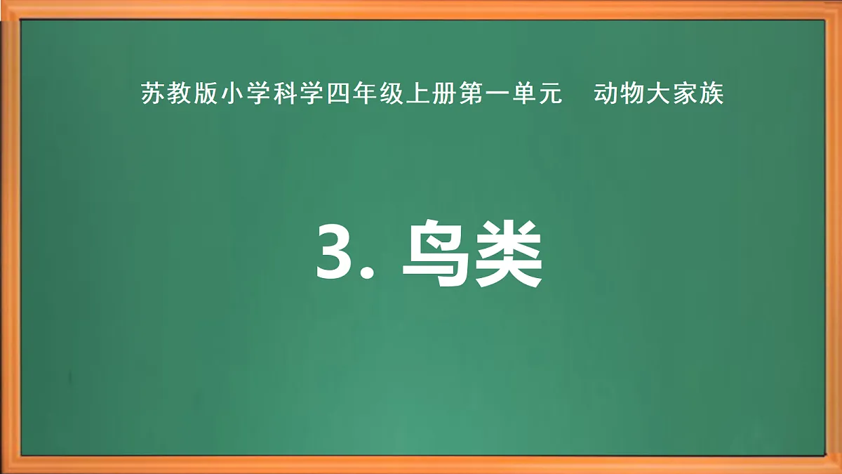 苏教版小学科学四年级上册第一单元《3 鸟类 》课件第2页