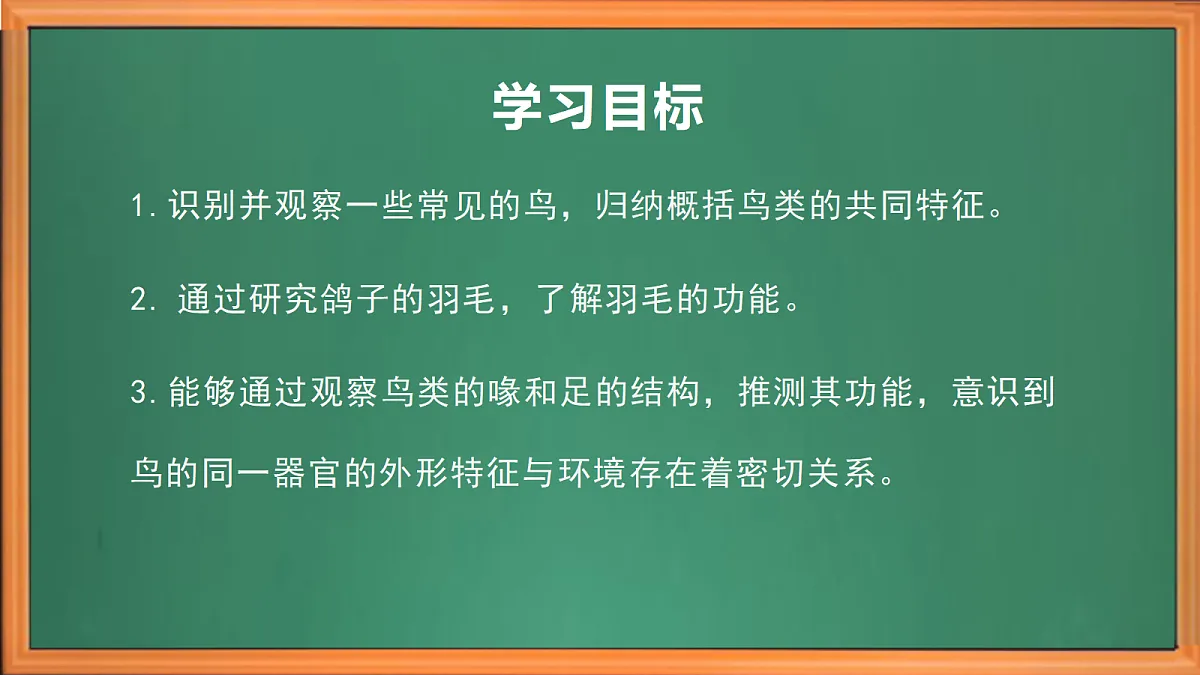 苏教版小学科学四年级上册第一单元《3 鸟类 》课件第3页