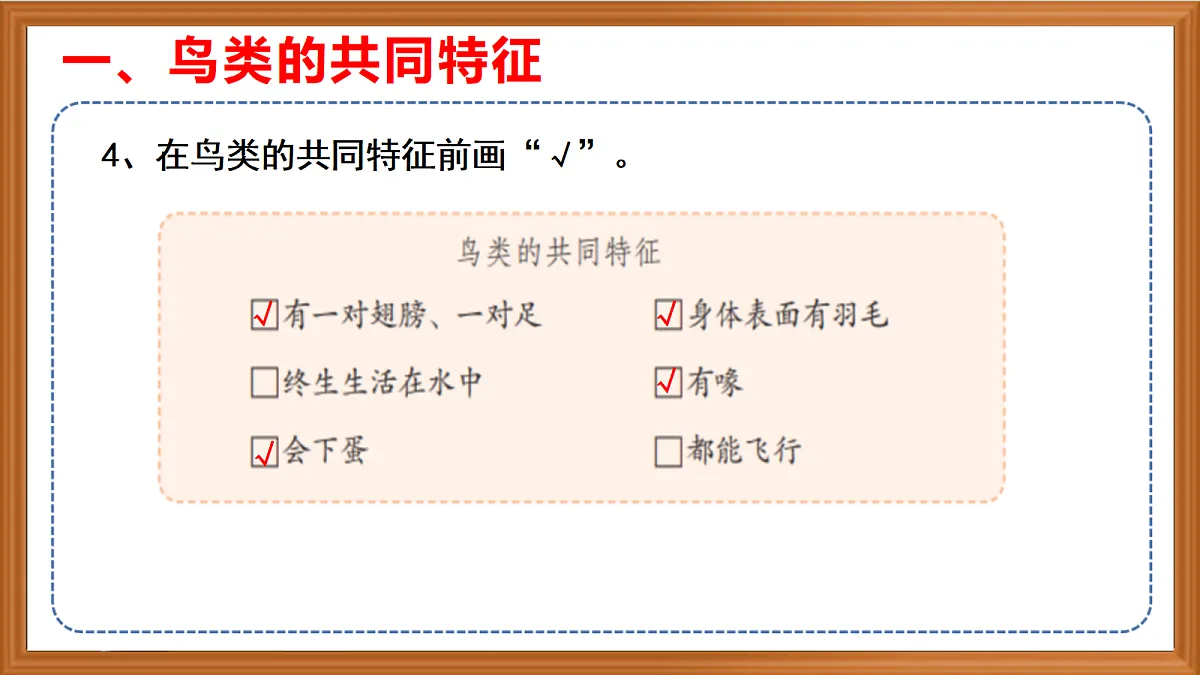 苏教版小学科学四年级上册第一单元《3 鸟类 》课件第7页
