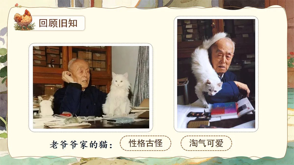 14.母鸡第4页