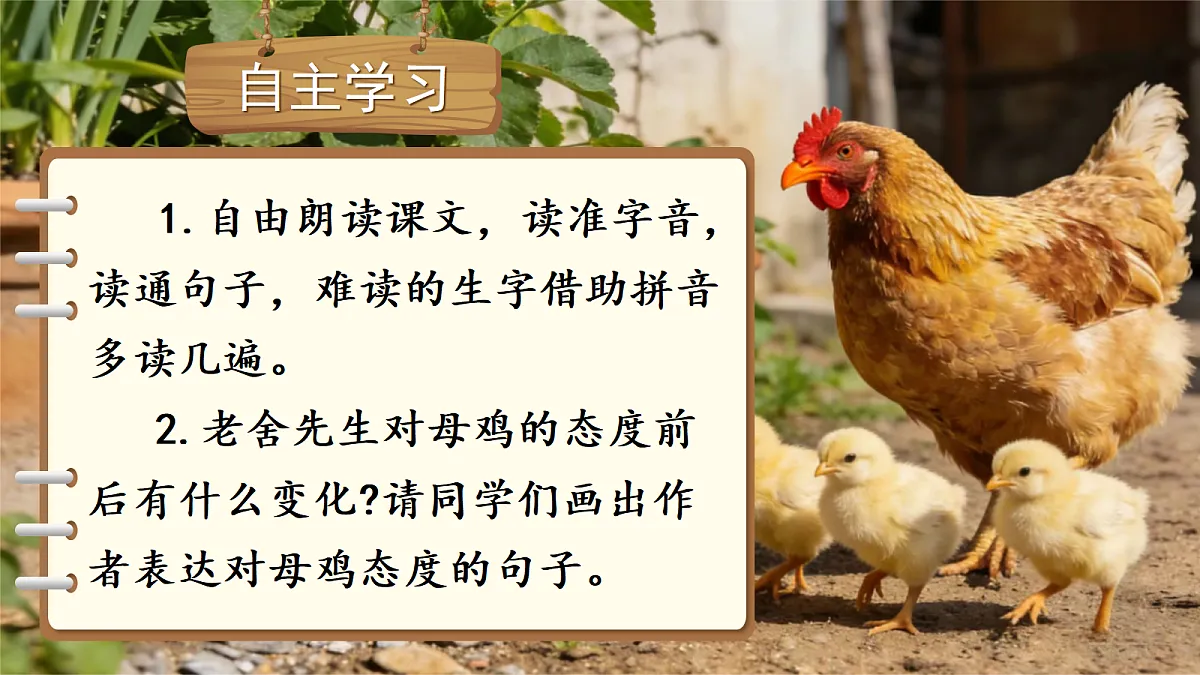 14.母鸡第6页