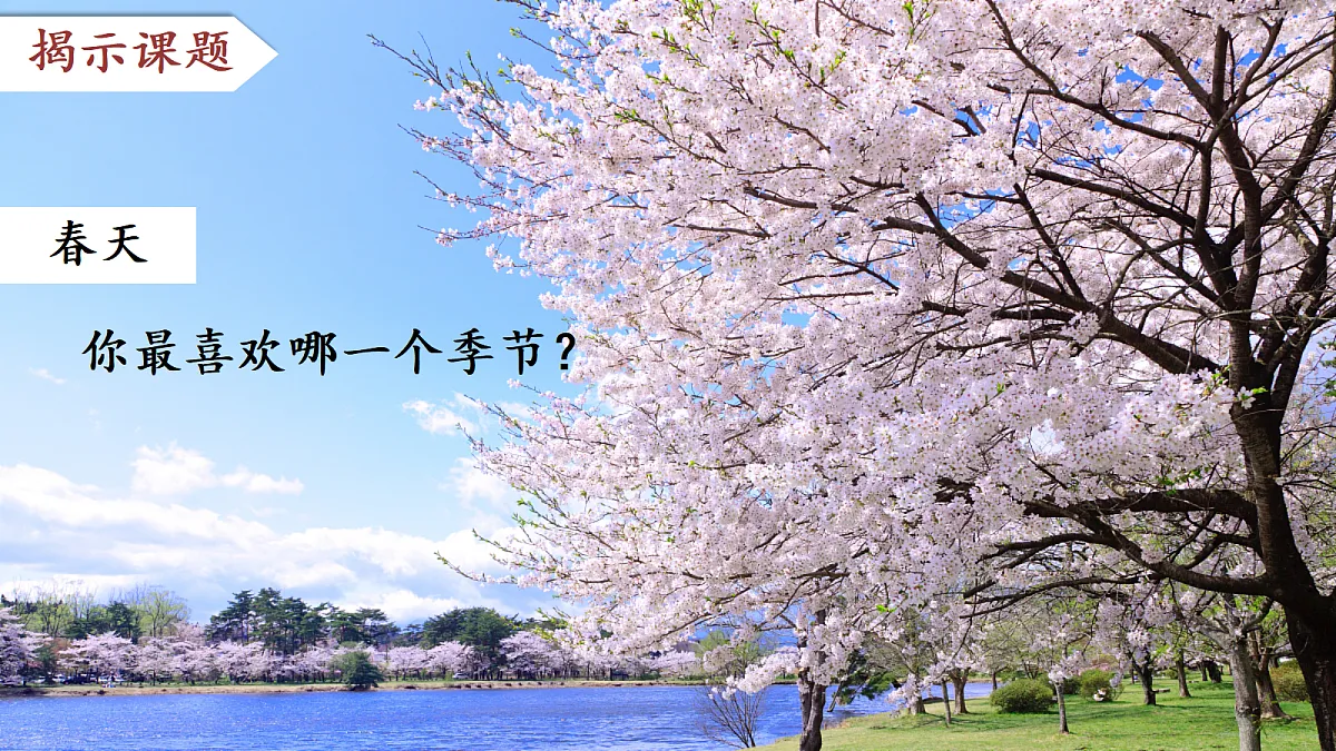 18608111第3页