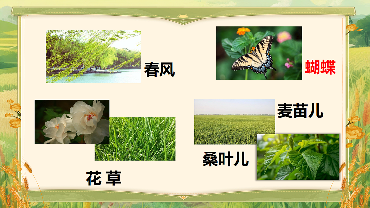 18609930第8页