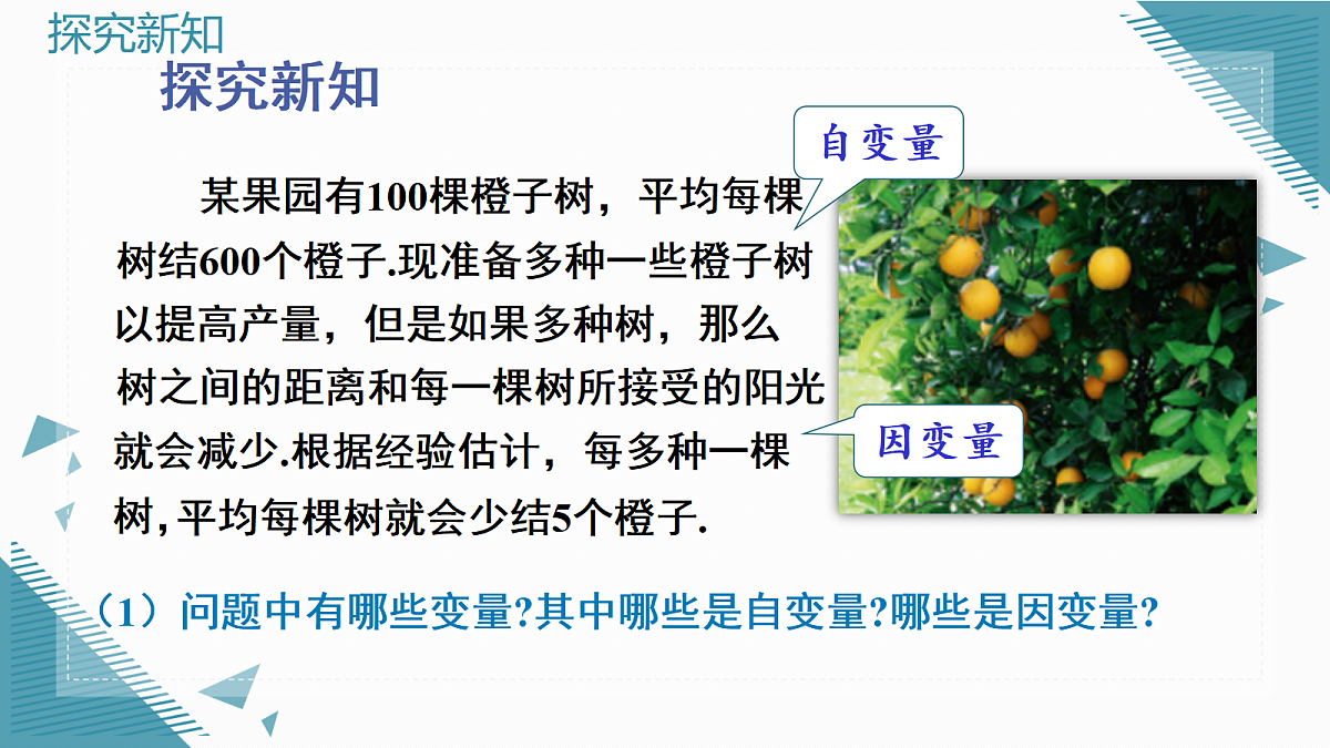 2026学年新北师大版初中数学九年级上册第五章1认识二次函数课件第5页