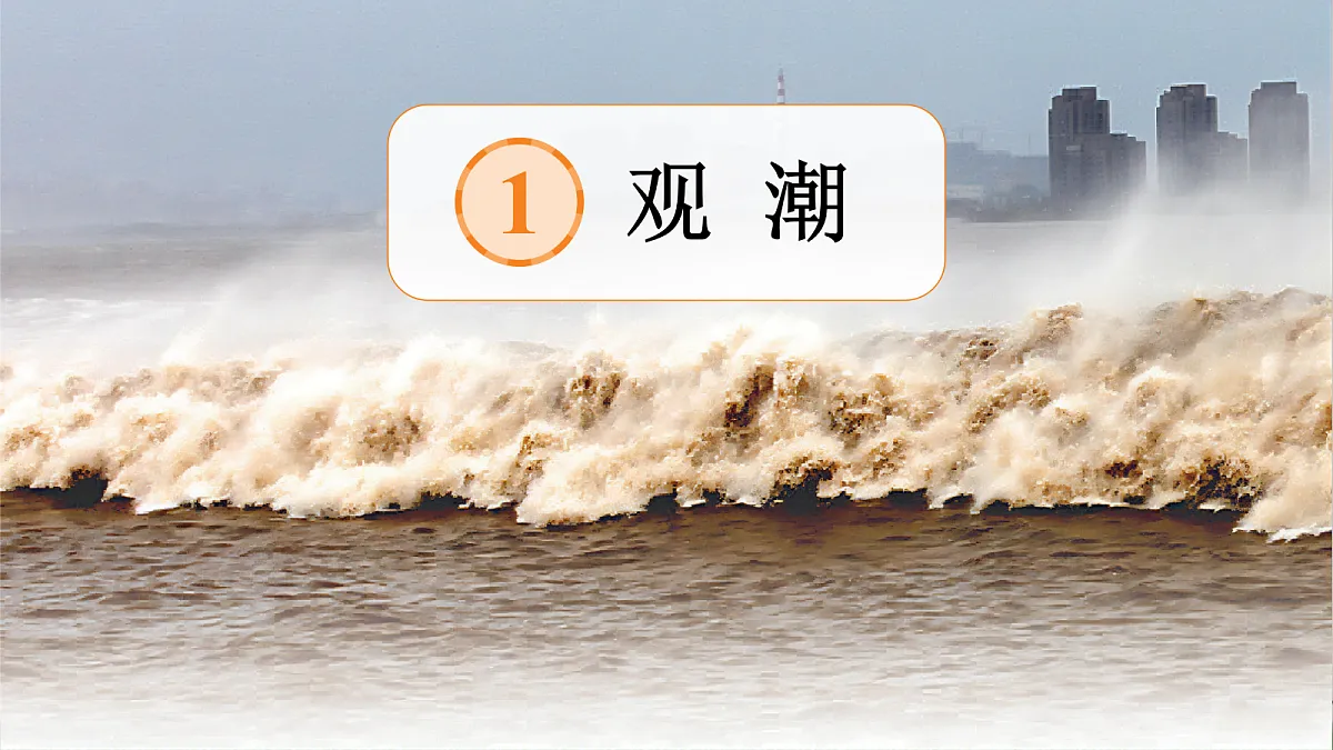 18614268第6页