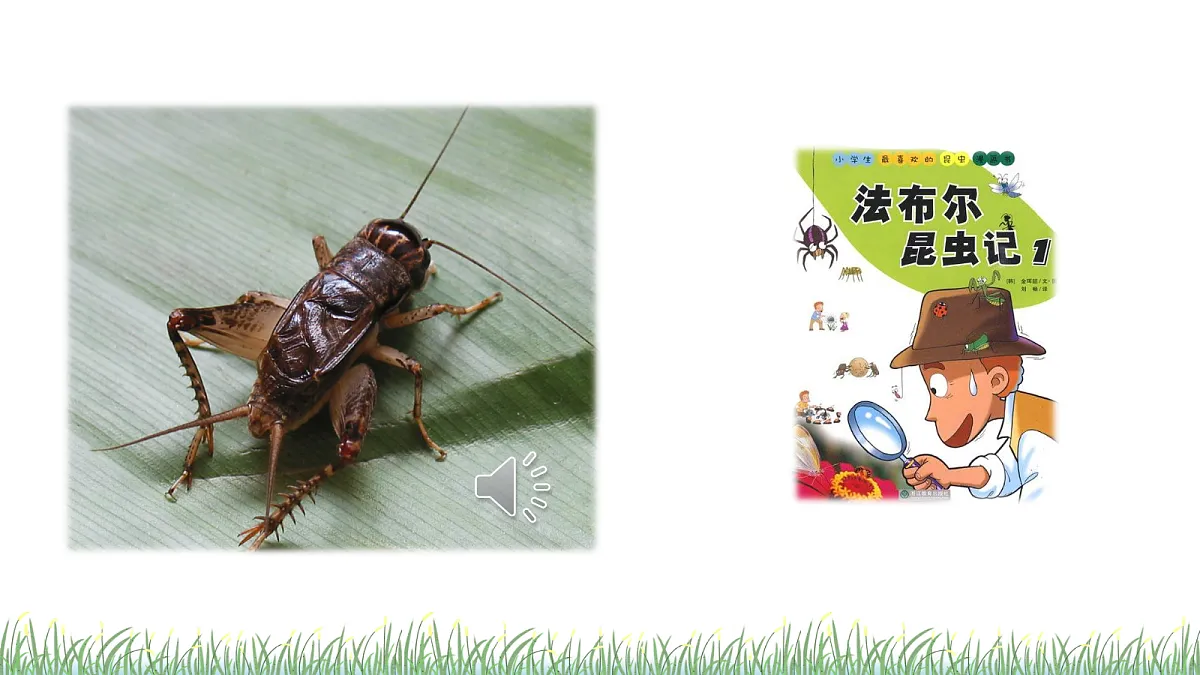18614339第3页