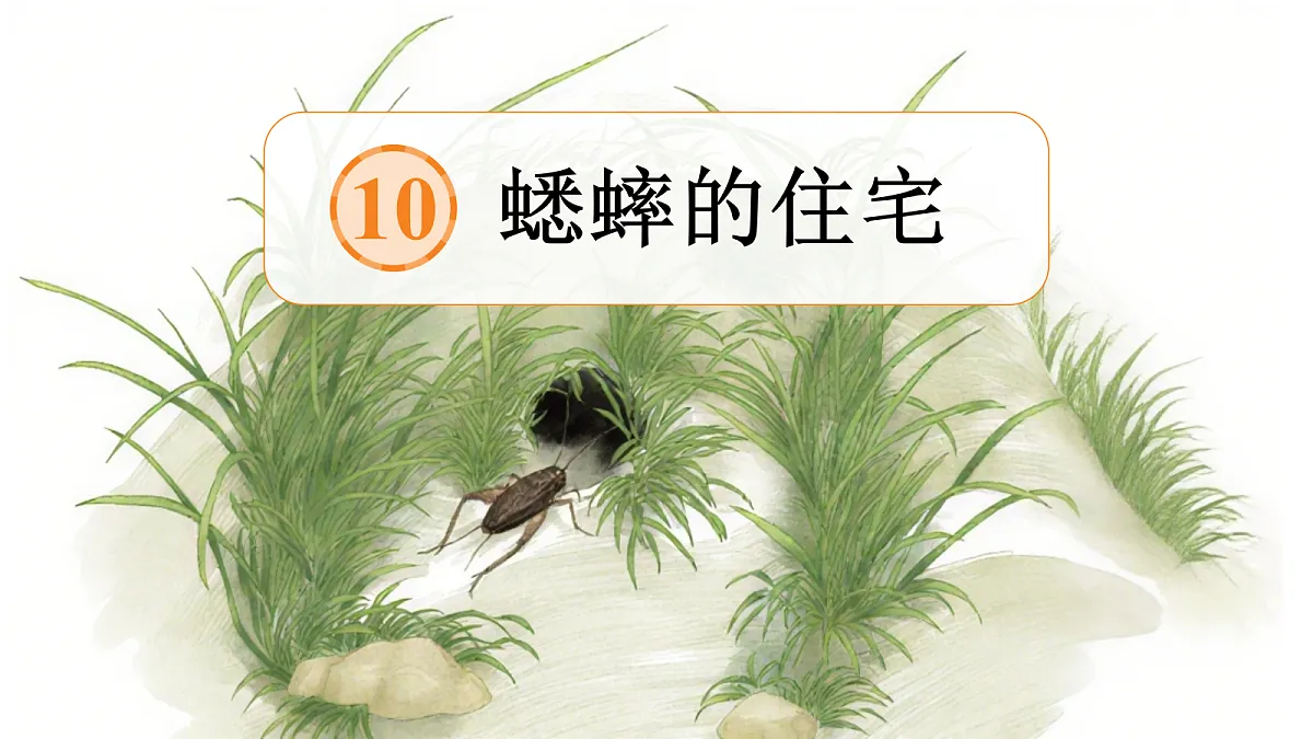 18614339第4页