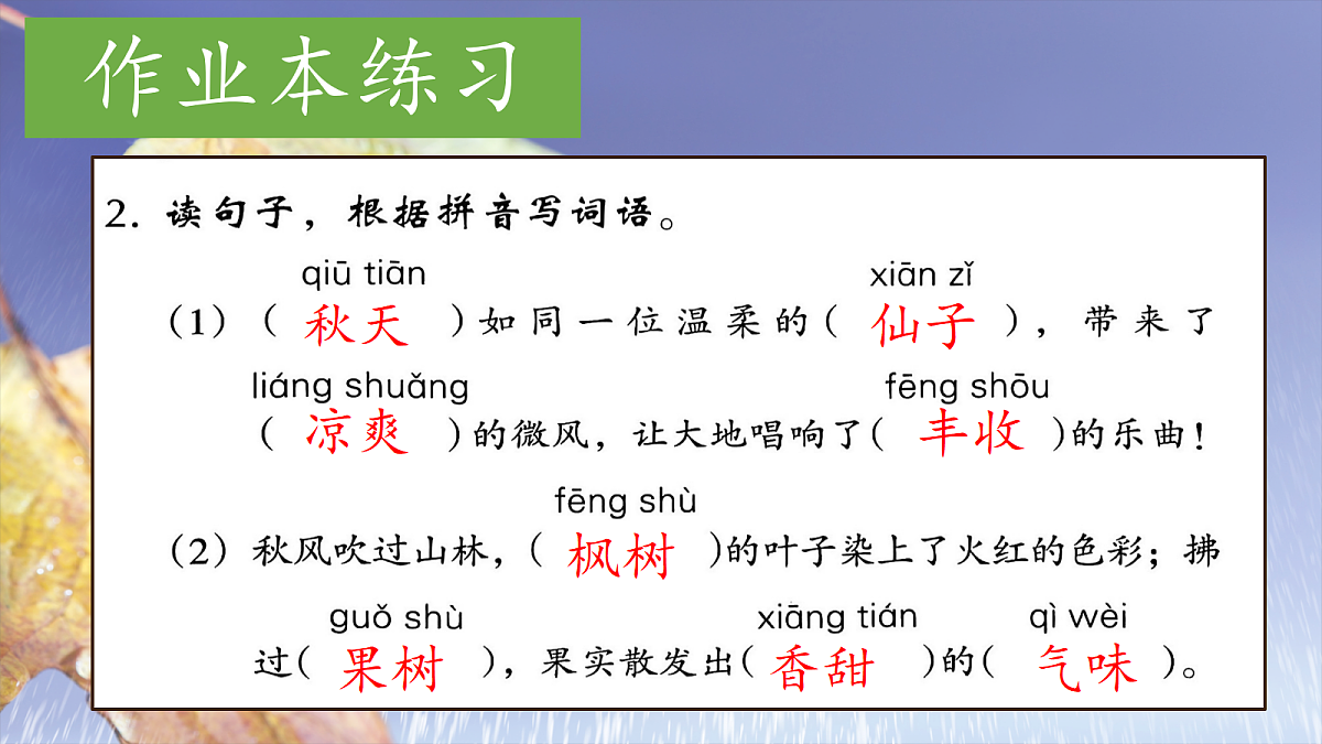 18616820第4页
