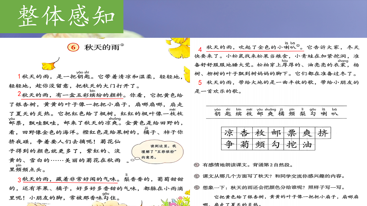 18616820第5页