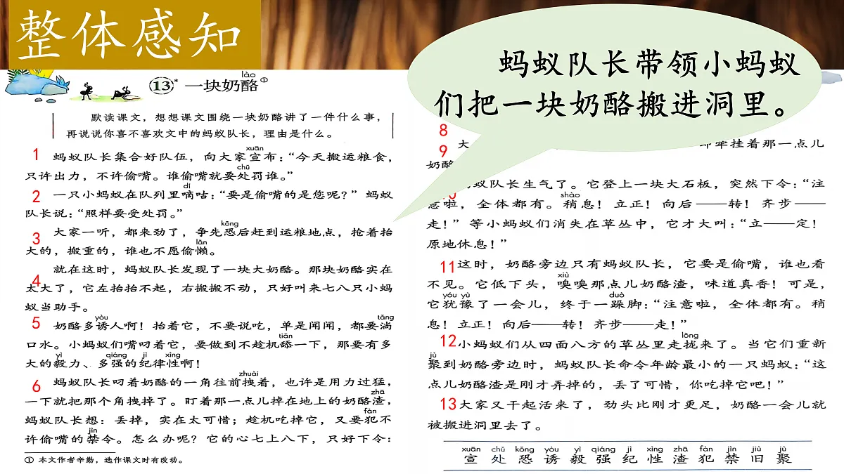 18616825第6页