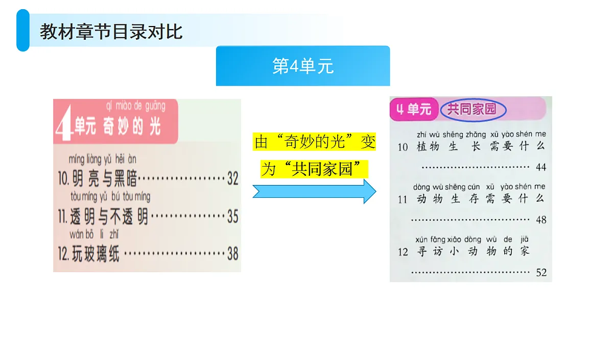18617406第7页