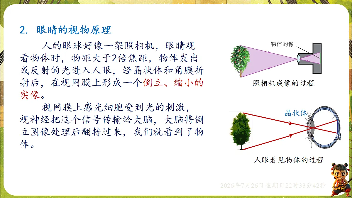 18618198第5页