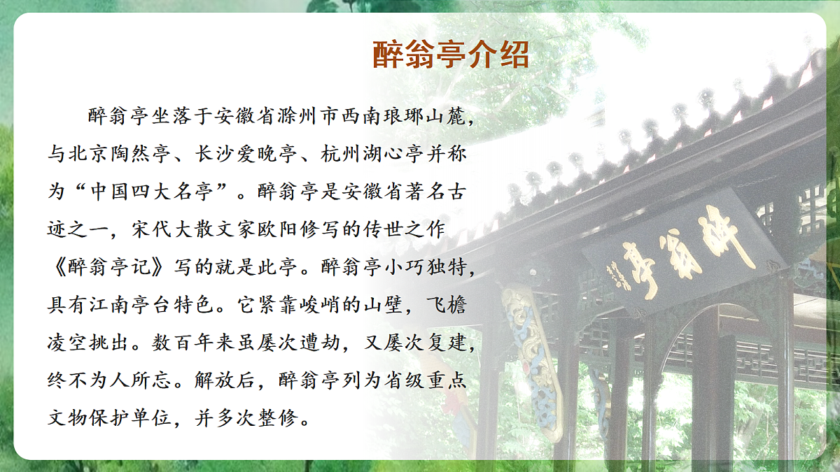 18618623第8页