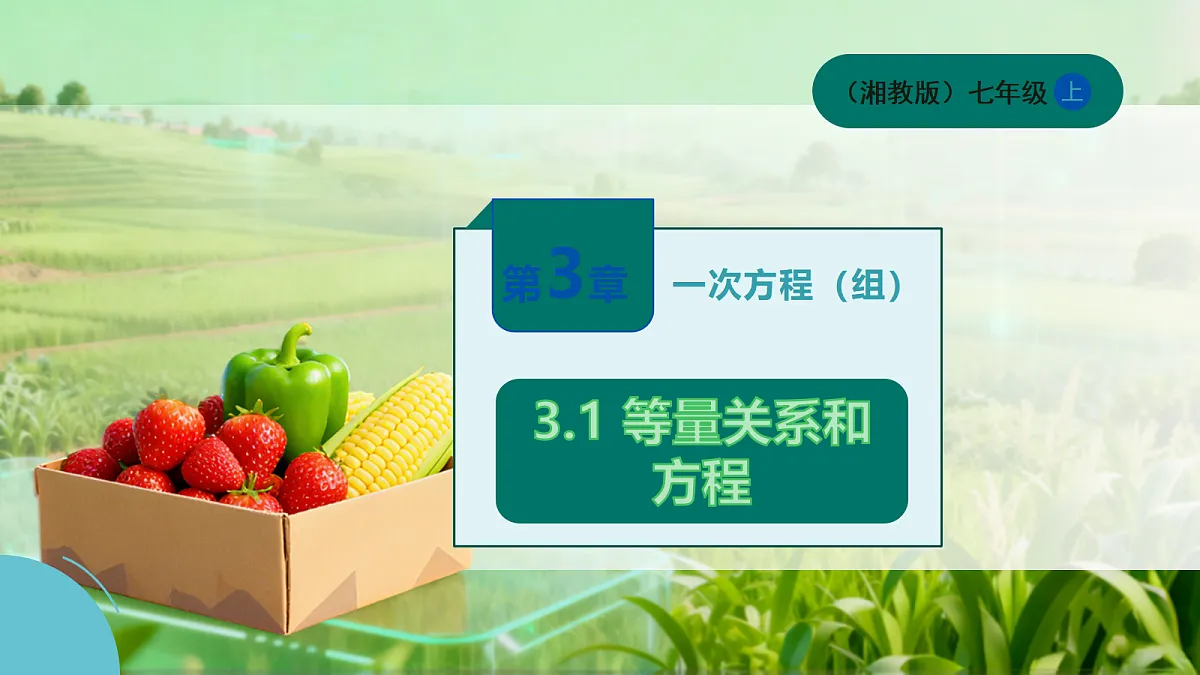 18619298第1页