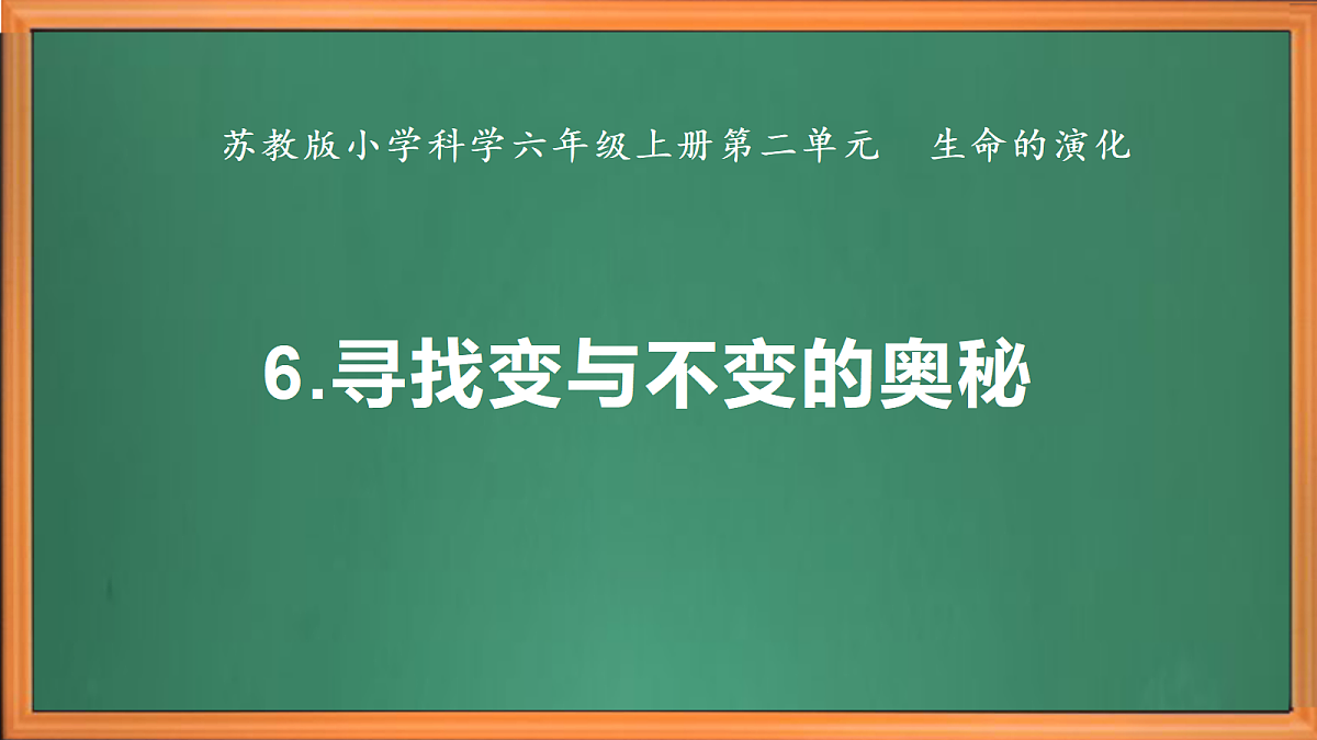 苏教版小学科学六年级上册第二单元《6 寻找变与不变的奥秘》课件、视频、作业设计第2页