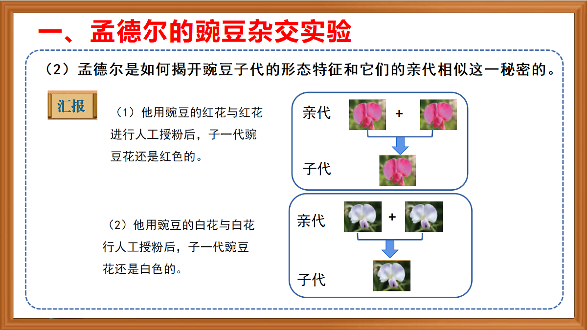苏教版小学科学六年级上册第二单元《6 寻找变与不变的奥秘》课件、视频、作业设计第6页