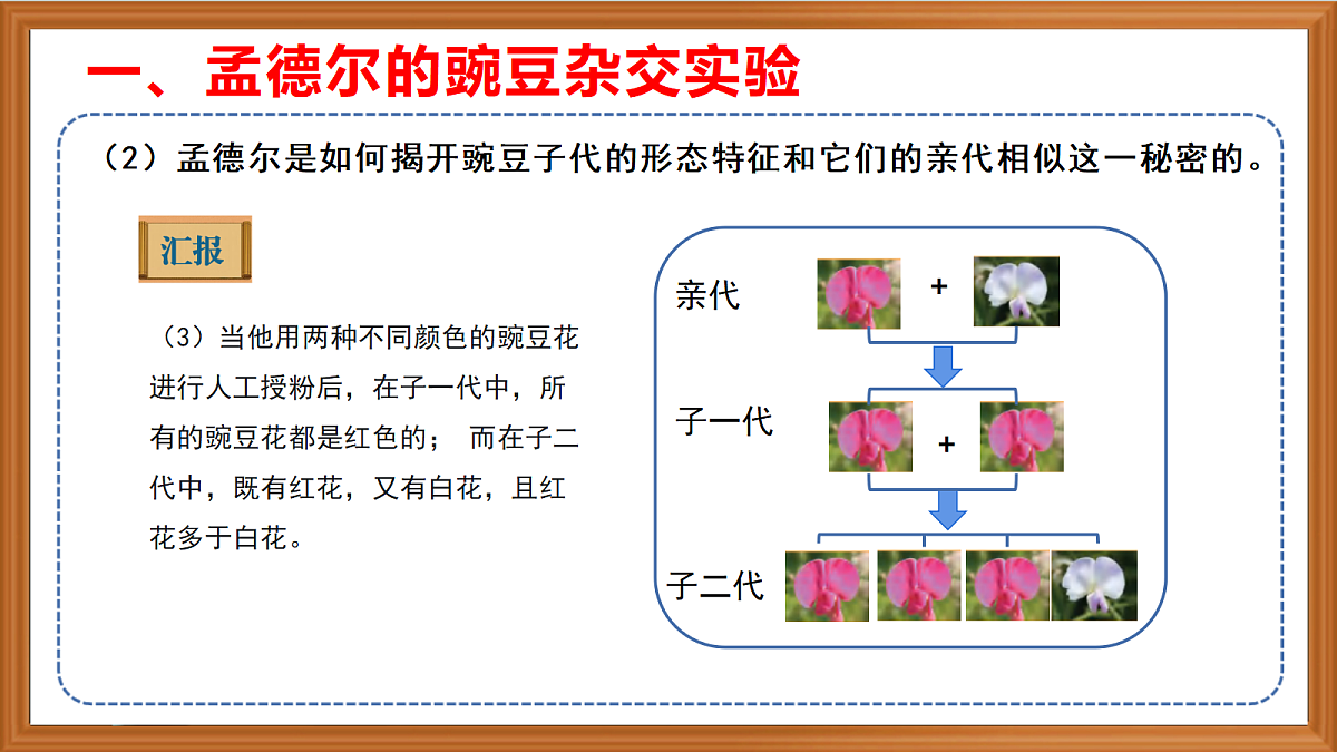 苏教版小学科学六年级上册第二单元《6 寻找变与不变的奥秘》课件、视频、作业设计第7页