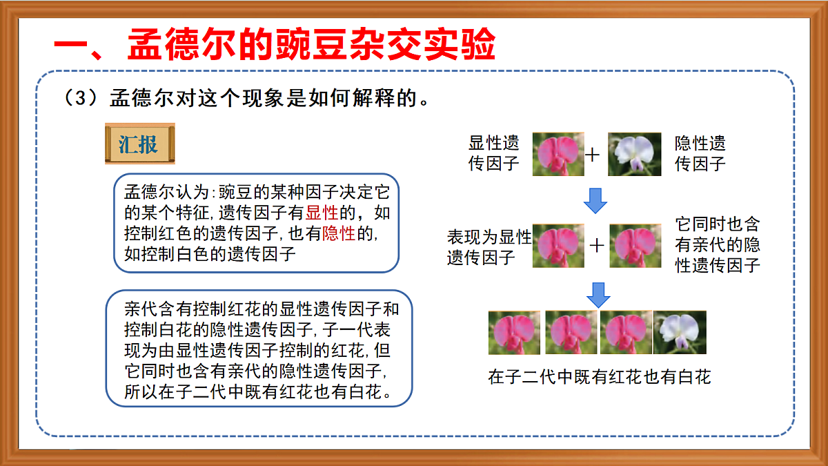 苏教版小学科学六年级上册第二单元《6 寻找变与不变的奥秘》课件、视频、作业设计第8页