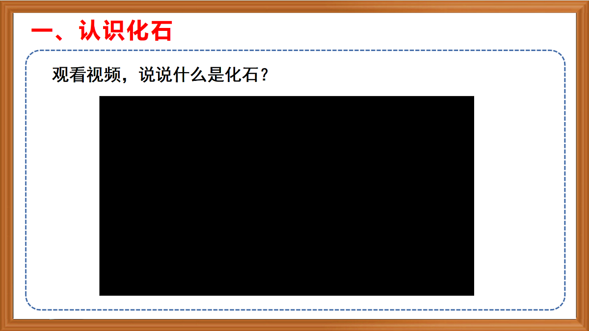 苏教版小学科学六年级上册第2单元《7 化石告诉我吗什么》课件、视频、作业设计第4页