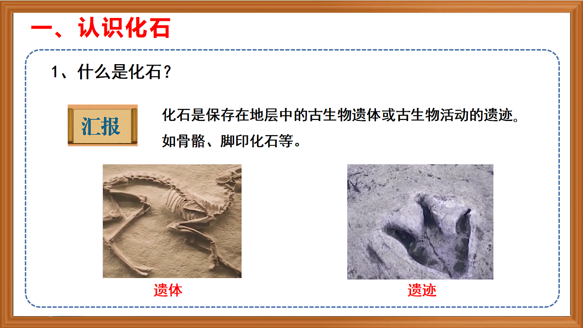 苏教版小学科学六年级上册第2单元《7 化石告诉我吗什么》课件、视频、作业设计第5页