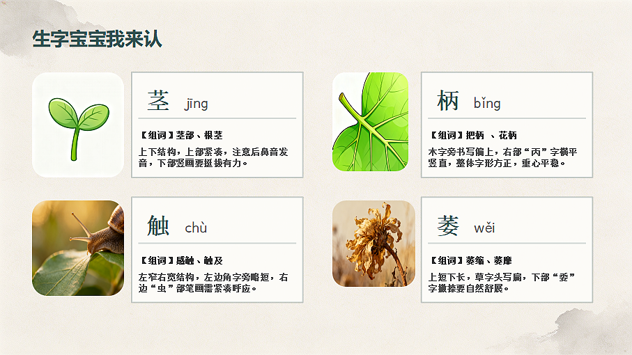 18620450第6页