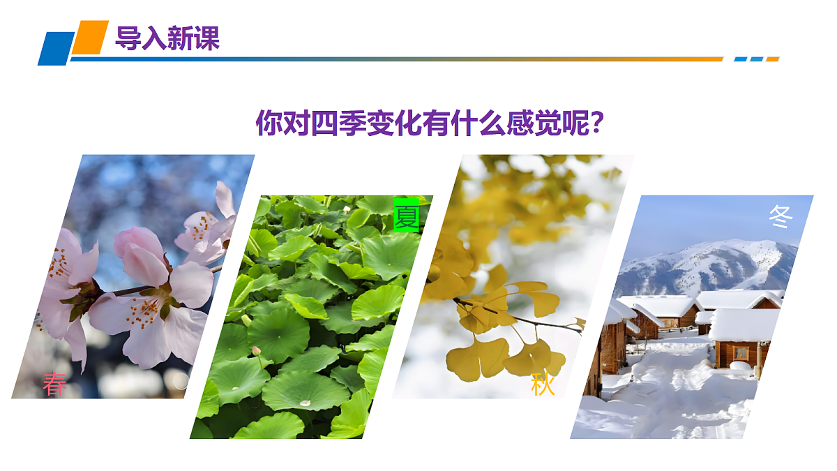 18621664第2页
