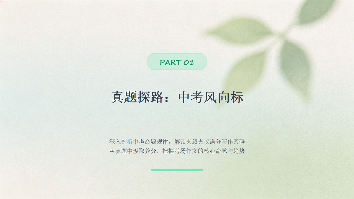 04 语言表达之夹叙夹议（课件）第4页