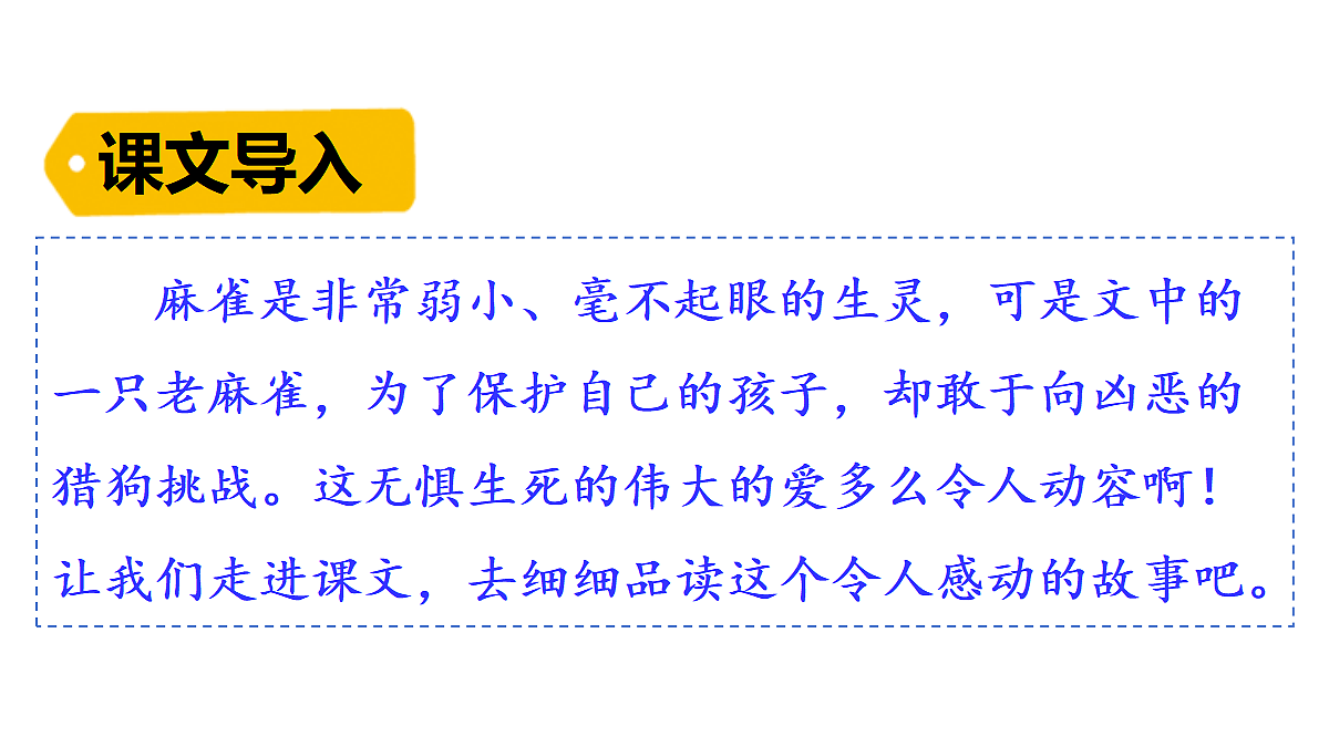18623871第1页