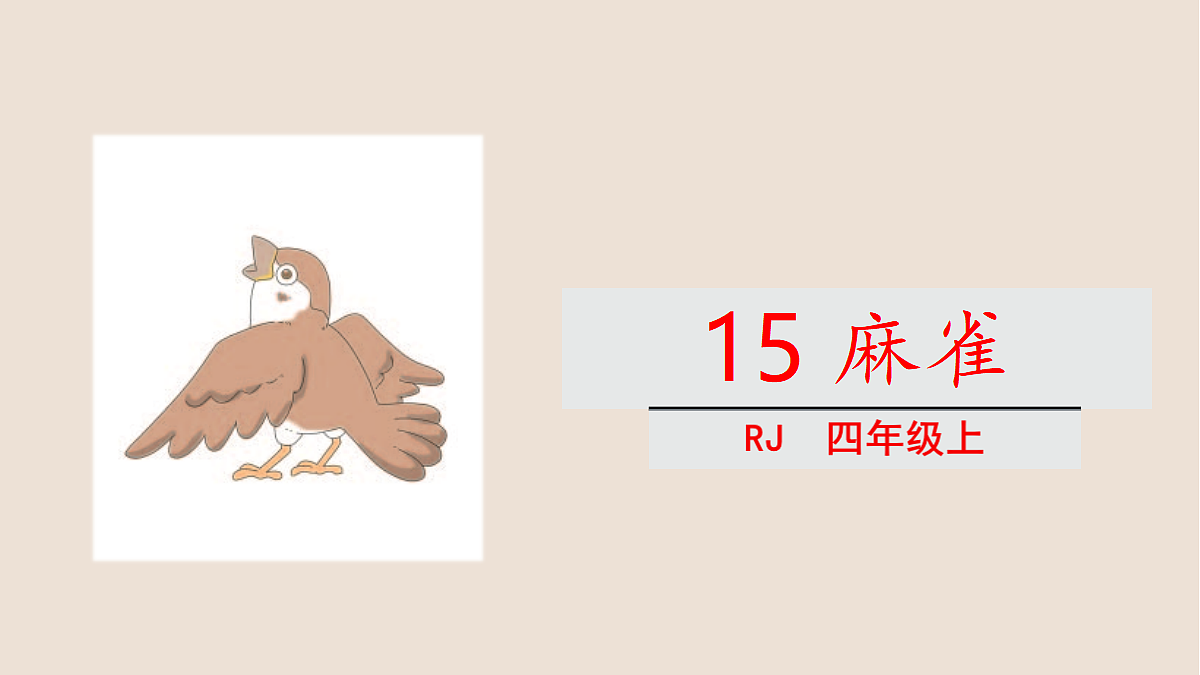 18623871第2页
