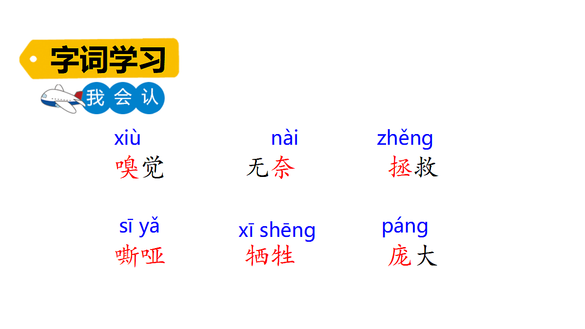 18623871第5页