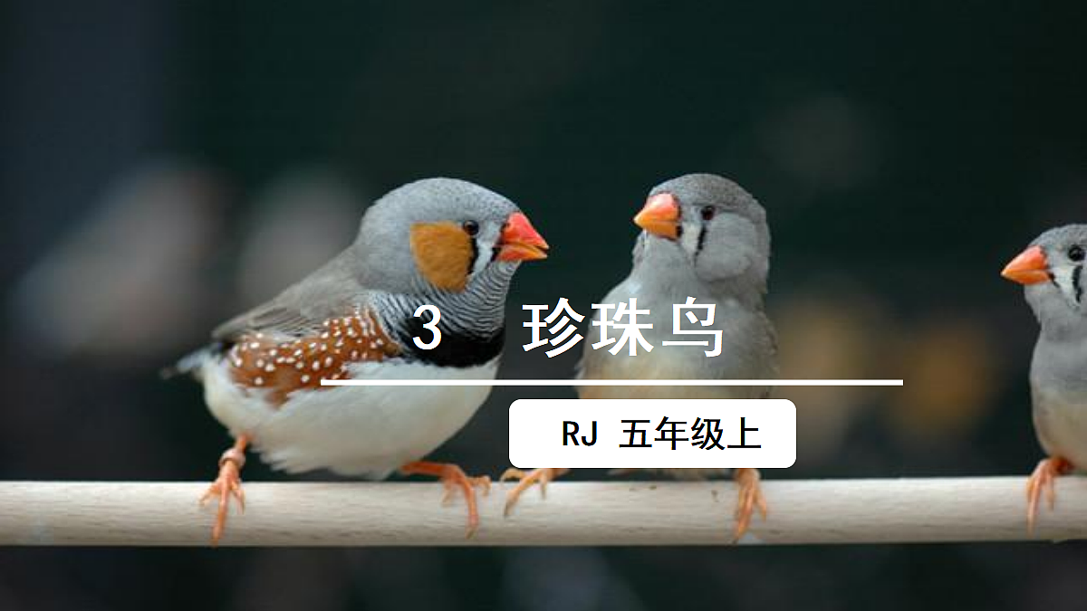 18624052第2页