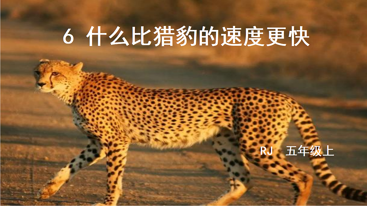 18624055第1页