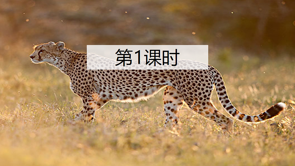 18624055第3页