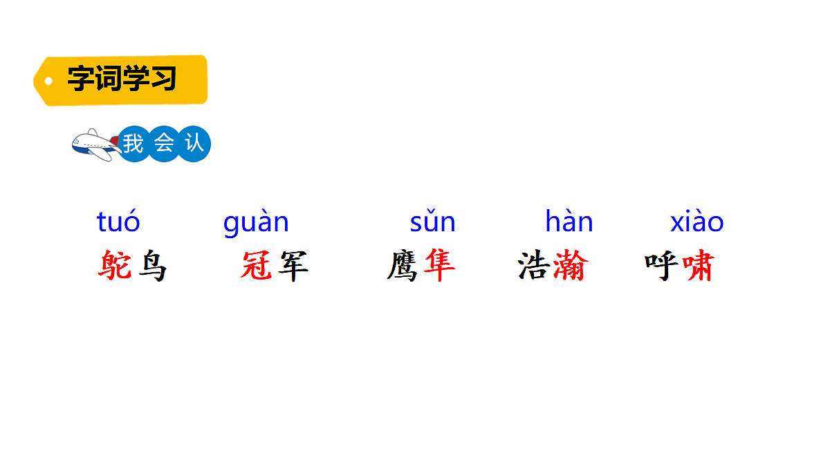 18624055第5页