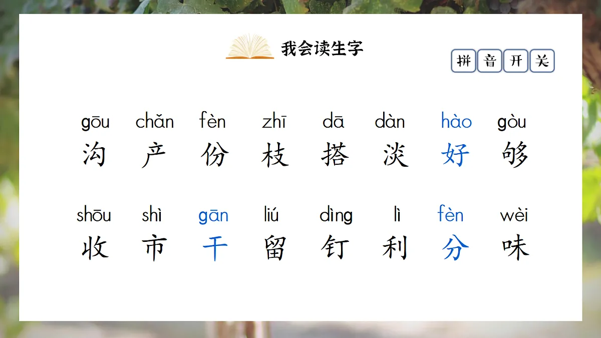 1.《课文11 葡萄沟》ppt课件第8页