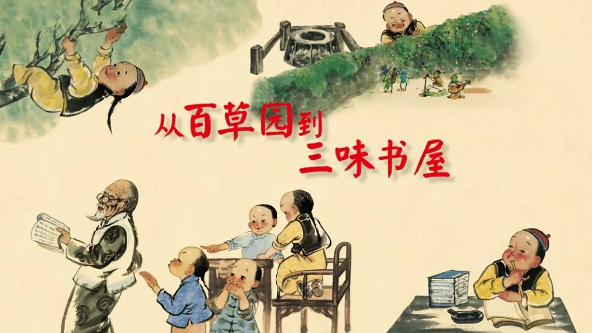 18630585第3页