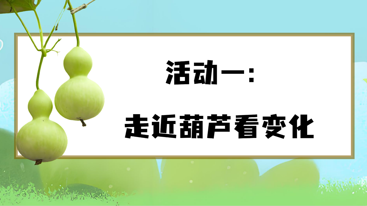 1.《课文14 我要的是葫芦》ppt课件第8页