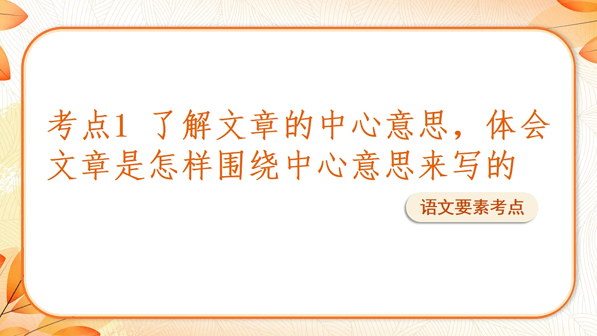 18633253第3页