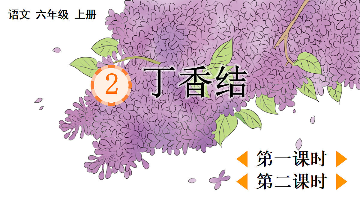 2 丁香结【精华版】第1页