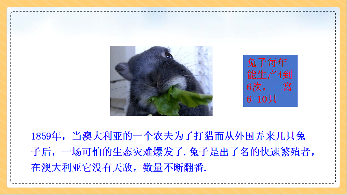 18634721第2页