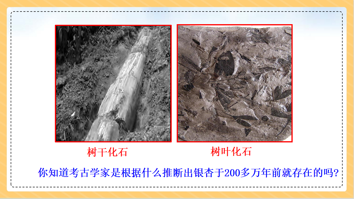 18634765第4页
