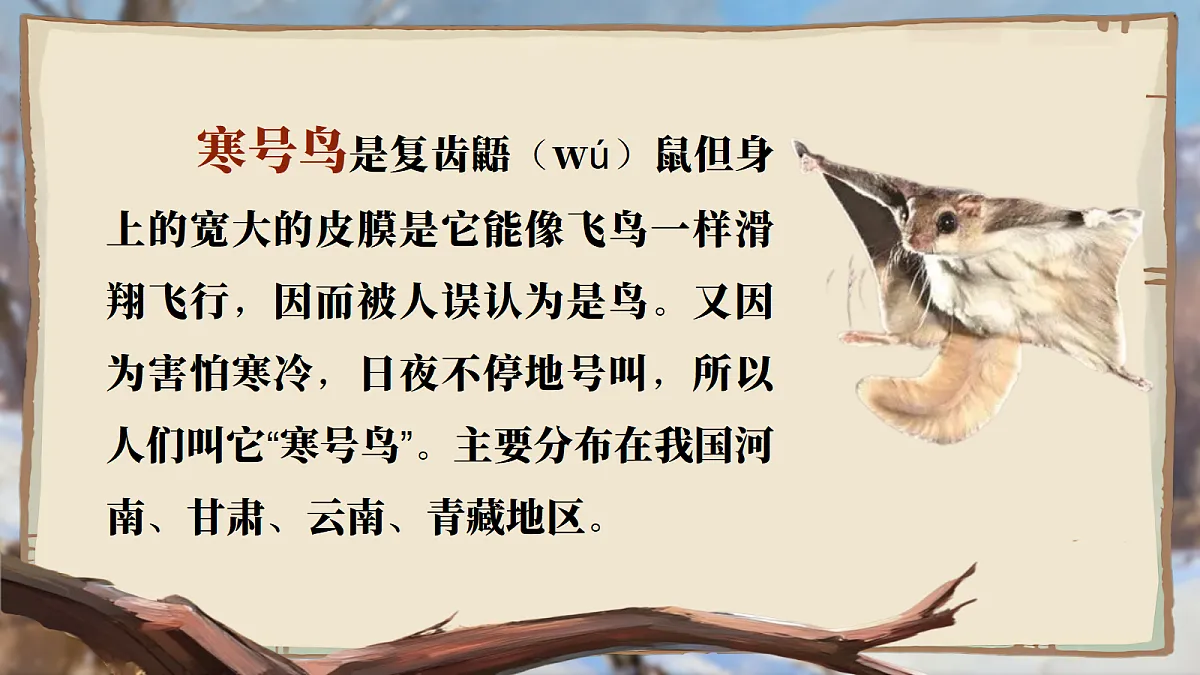 18635191第6页