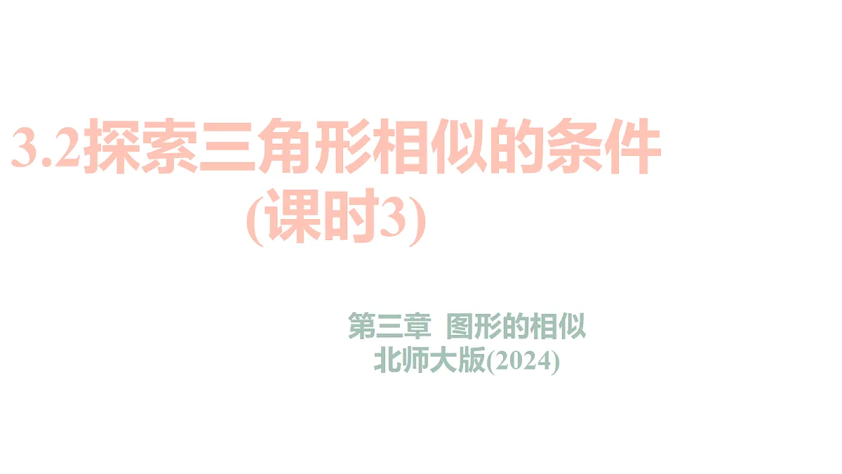 18636620第1页