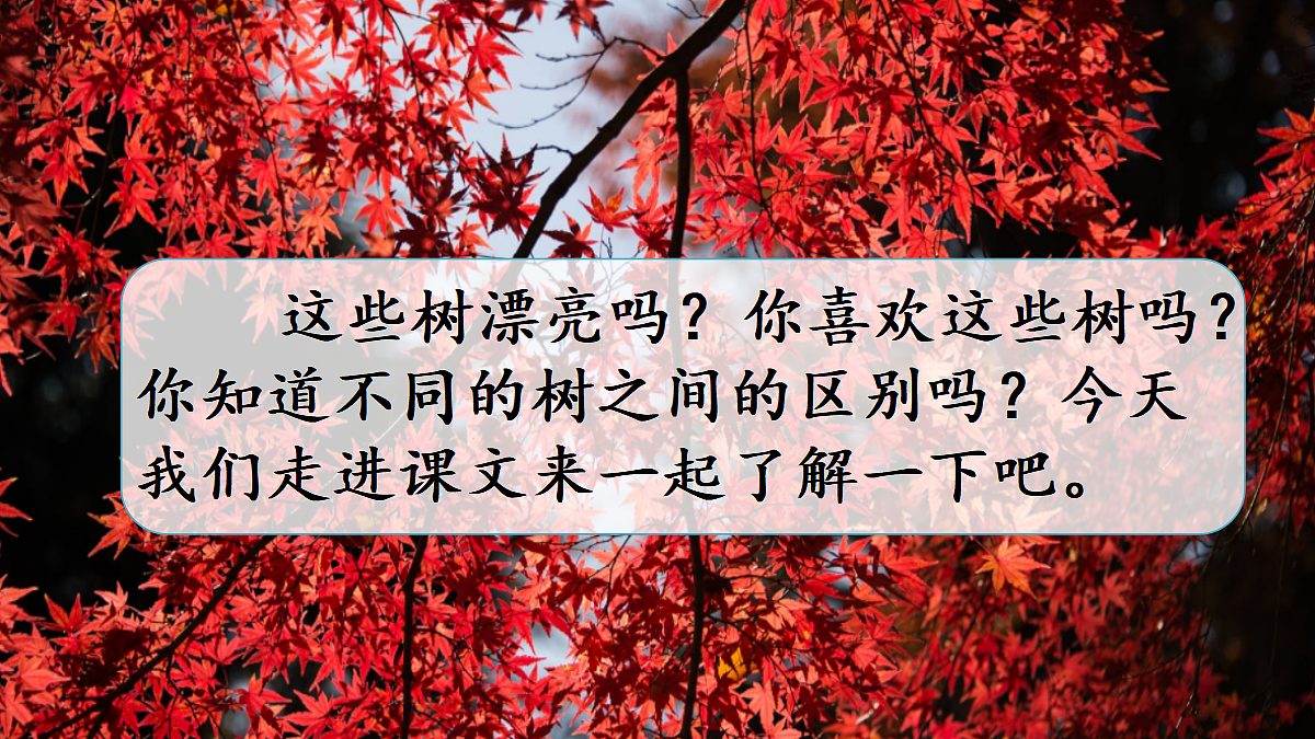 18636999第2页