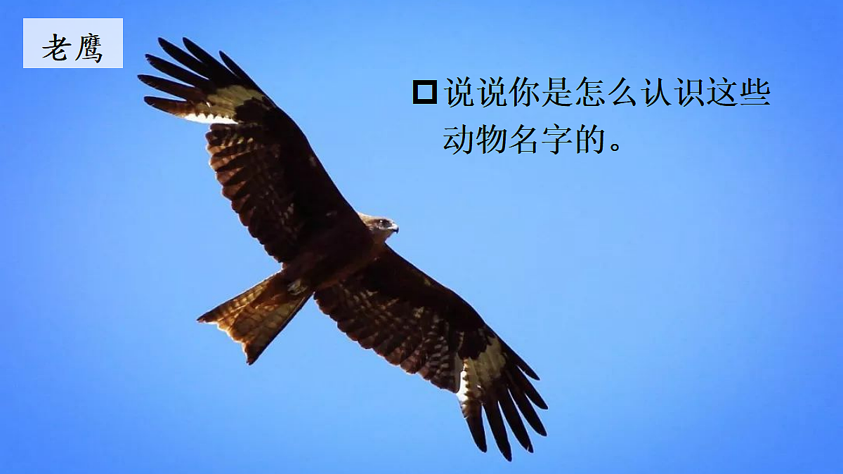 18637001第6页
