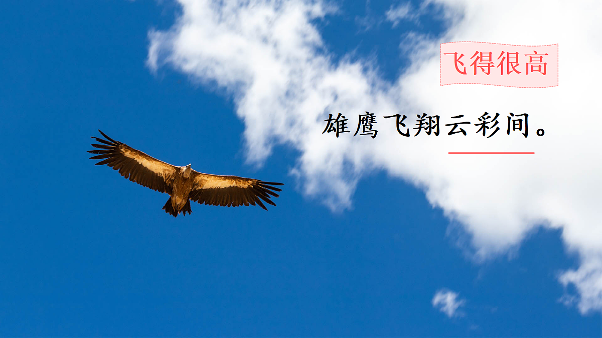 18637002第6页