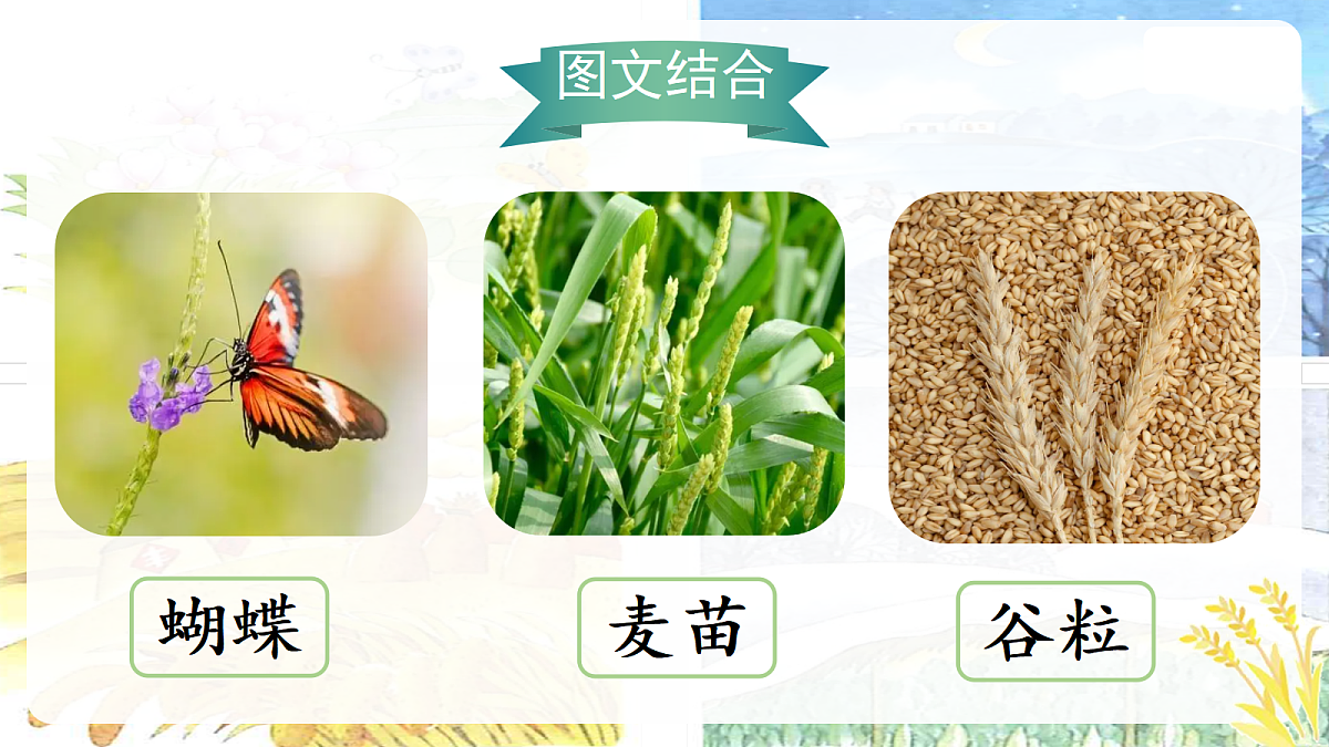 18637016第6页