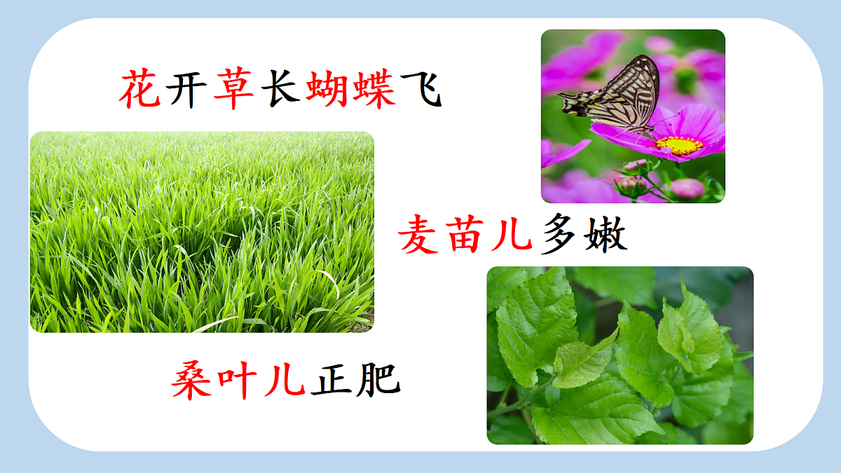 18637019第4页