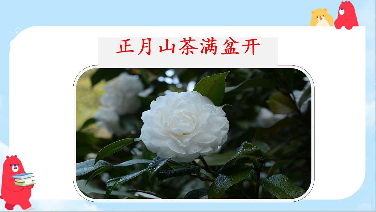 18638398第5页